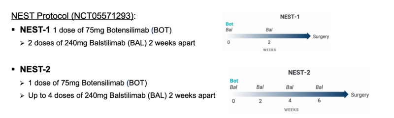 botensilimab