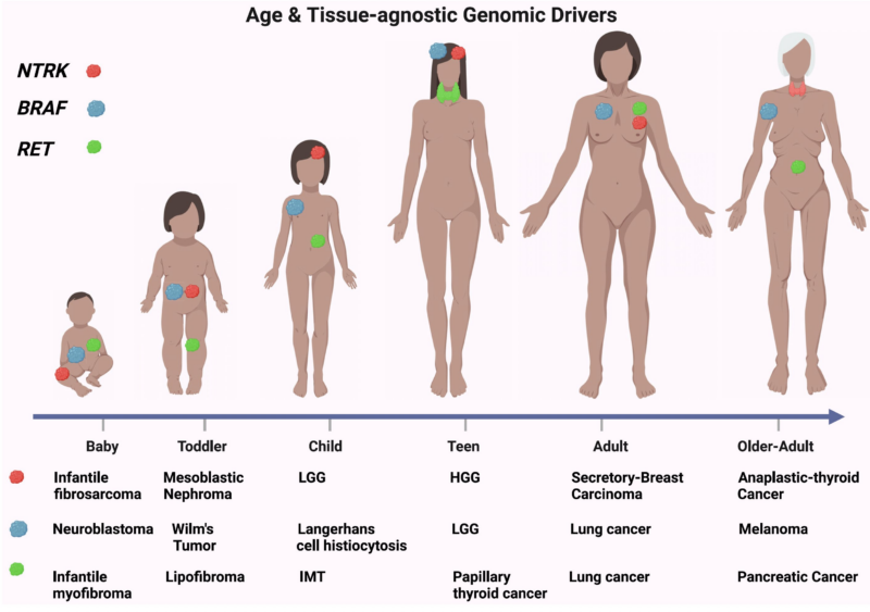 How the same cancer driver mutations can manifest differently across the lifespan