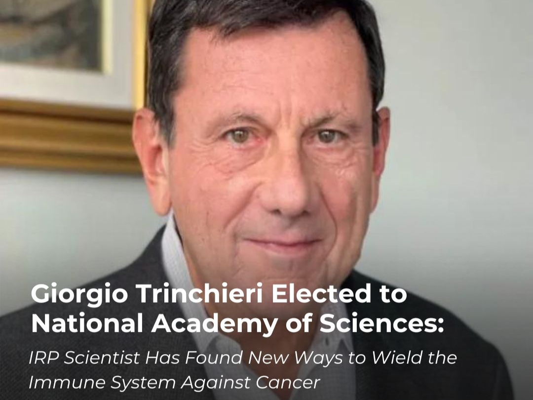 Giorgio Trinchieri elected to the National Academy of Sciences – NIH IRP