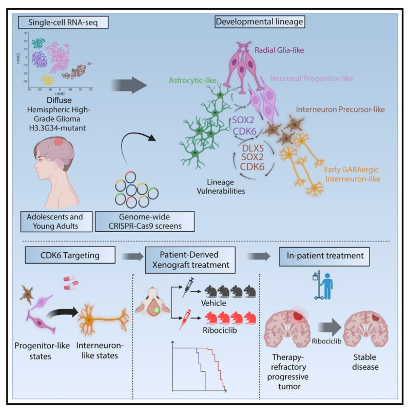 Mariella Filbin: Our latest paper on pediatric/AYA glioma