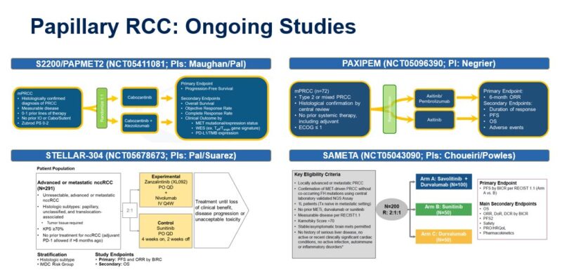 Sumanta Pal's highlights from ESMO24