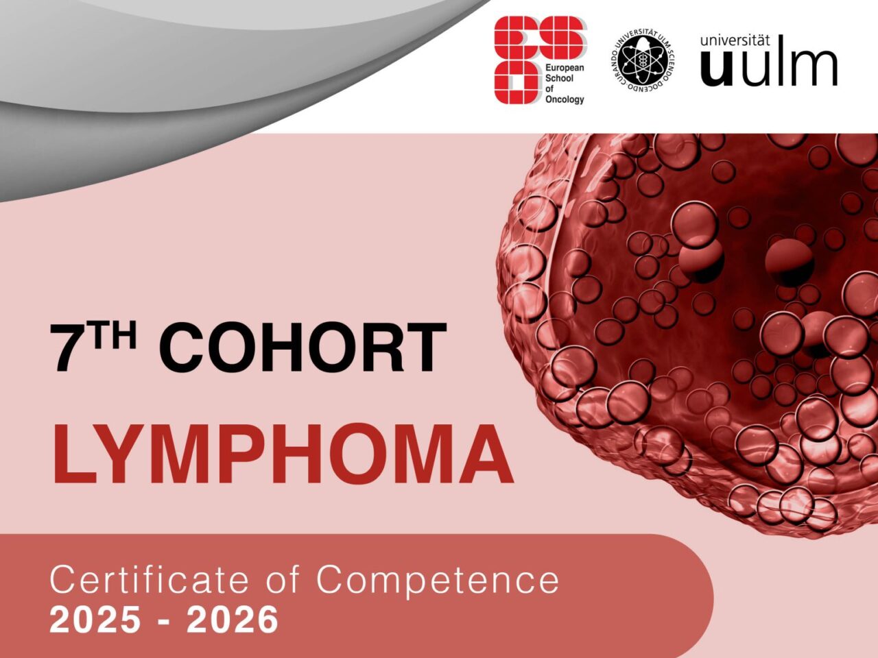 Certificate of Advanced Studies in Lymphomas launched in collaboration with Ulm University – ESO