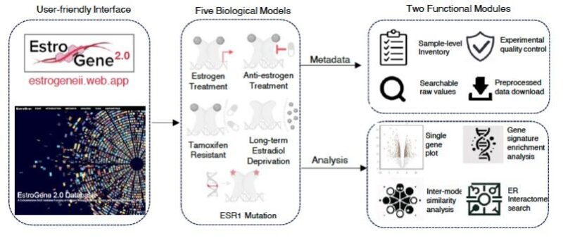 Adrian Lee: Addressing breast cancer data underutilization with Estrogene2.0