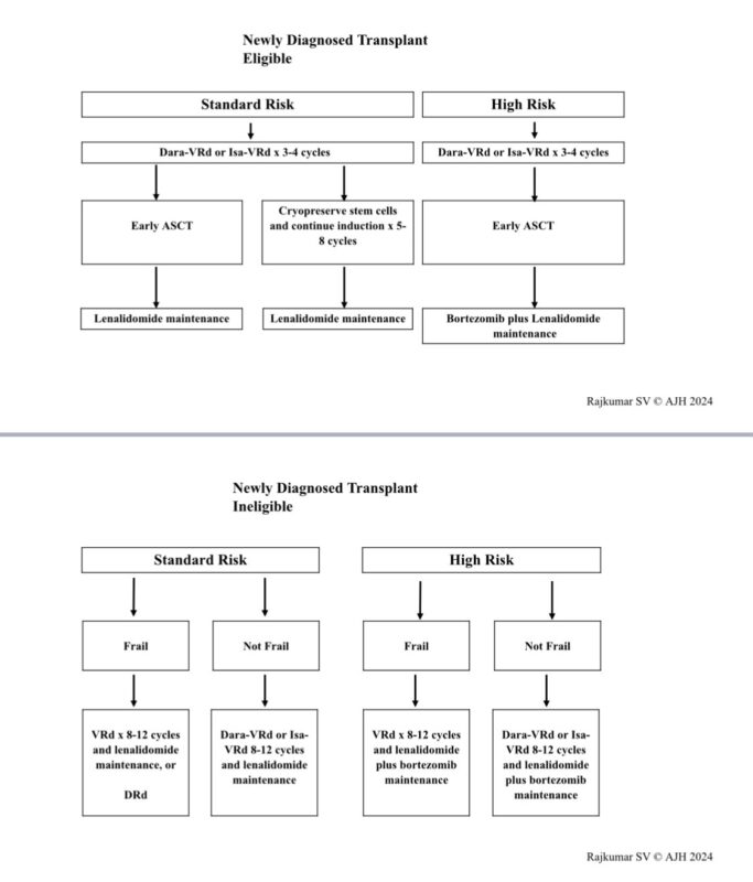 Vincent Rajkumar: A simplified algorithm of frontline therapy for myeloma