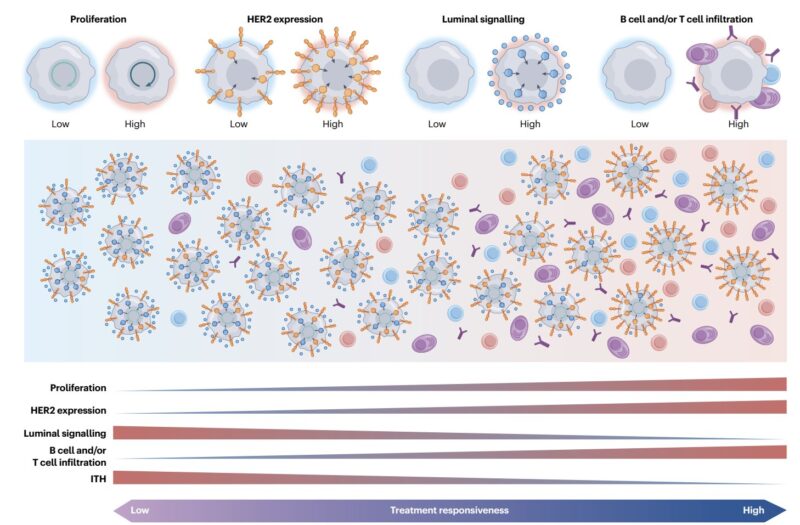 Aleix Prat: Dual HER2 inhibition in Breast Cancer