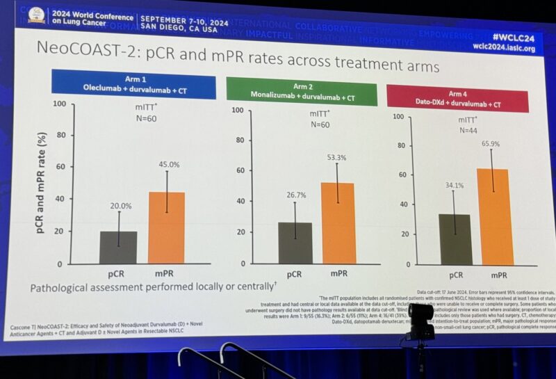 25 Posts Not To Miss from Day 2 of WCLC24