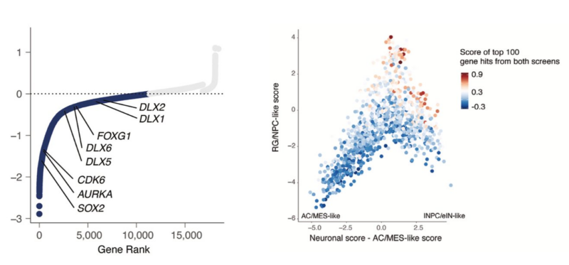 Mariella Filbin: Our latest paper on pediatric/AYA glioma