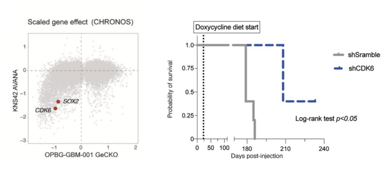 Mariella Filbin: Our latest paper on pediatric/AYA glioma