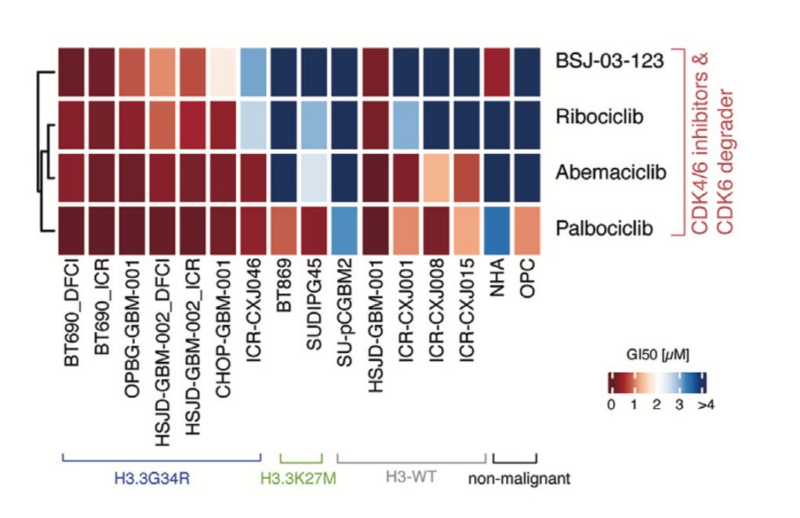 Mariella Filbin: Our latest paper on pediatric/AYA glioma