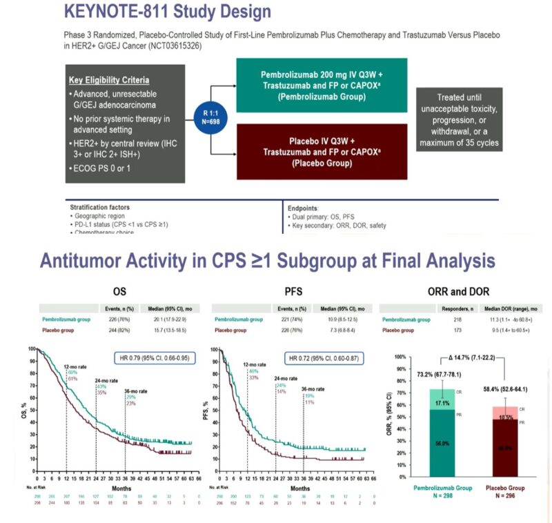 Cathy Eng's highlights from ESMO24