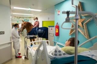 Peyo the therapy horse and cancer patient