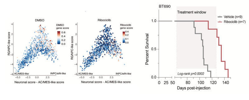 Mariella Filbin: Our latest paper on pediatric/AYA glioma