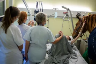 Peyo the therapy horse and terminally ill pateint