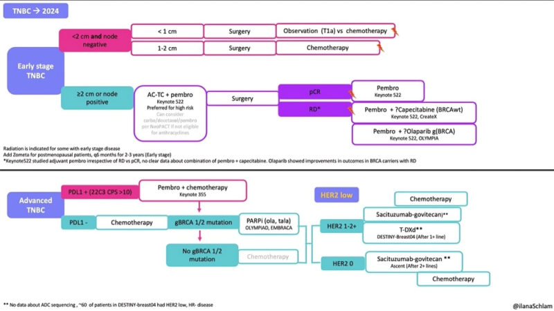 Updated breast cancer treatment algorithms summarized by Ilana Schlam