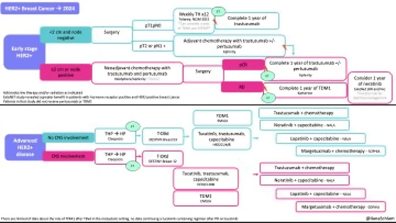 Updated breast cancer treatment algorithms summarized by Ilana Schlam