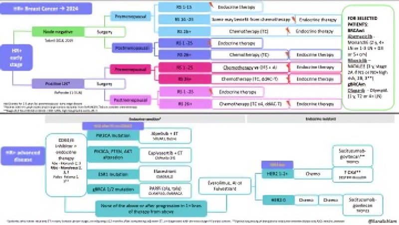 Updated breast cancer treatment algorithms summarized by Ilana Schlam