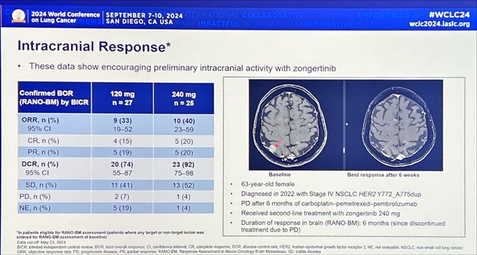 Highlights from the WCLC24 Day 3