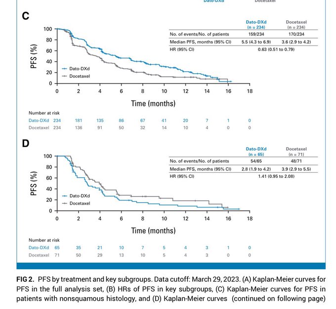 Highlights from the WCLC24 Day 3