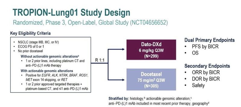 WCLC24