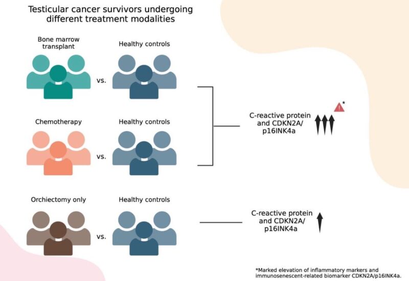 Maite Bourlon: Aging-related biomarkers in testicular cancer survivors after different oncologic treatments