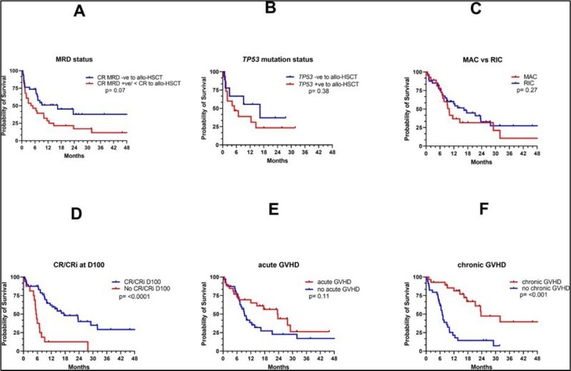 Talha Badar: Different aspects of TP53 mutated AML