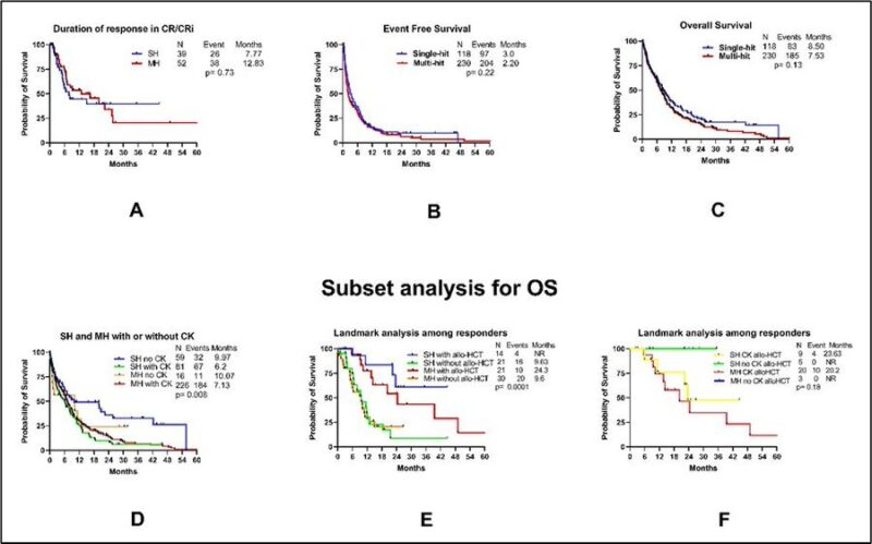 Talha Badar: Different aspects of TP53 mutated AML