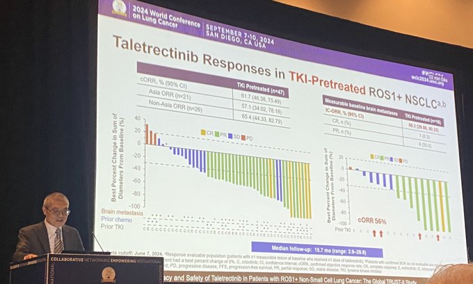 WCLC24