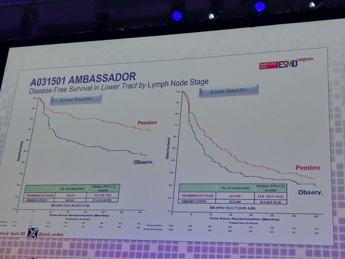 34 Posts Not to Miss From ESMO24 Day 4