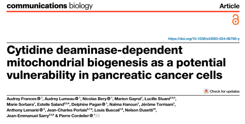 Nelson Dusetti: Promising therapeutic strategies for targeting mitochondrial metabolism in pancreatic cancer cells