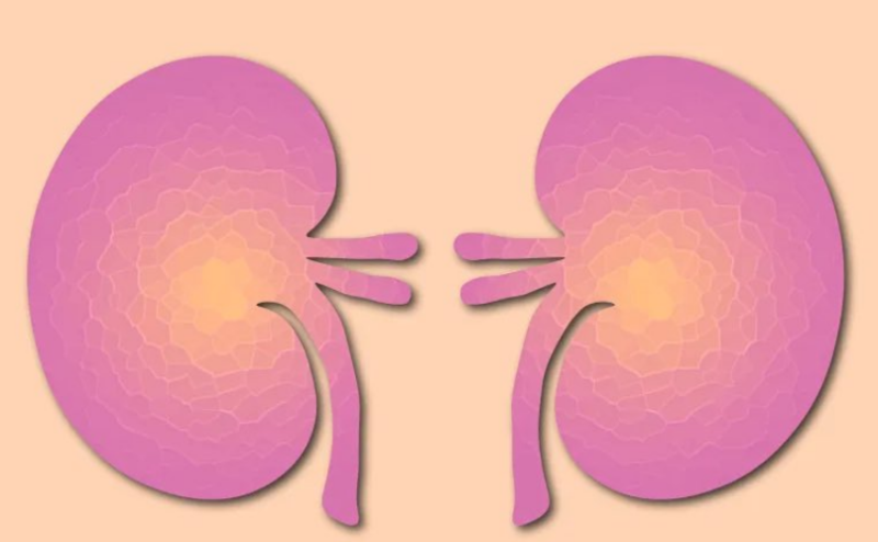 What five doctors are excited about in Kidney Cancer research – KidneyCAN