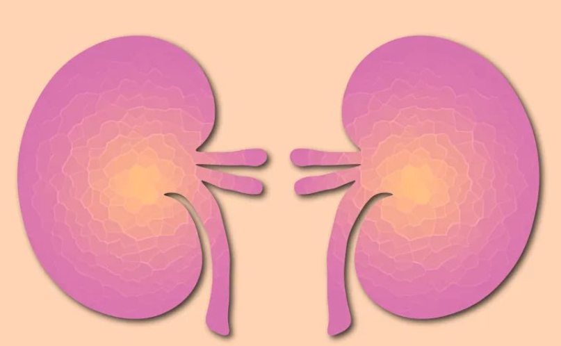 Understanding different types of Kidney Cancer and approaches to treatment – KidneyCAN