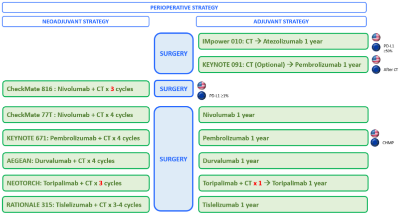 NSCLC treatment