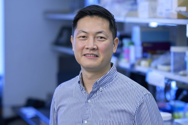 Wungki Park: Polar Maintenance: Promising Outcomes in BRCA HRD Cohorts with Pembro + Olaparib