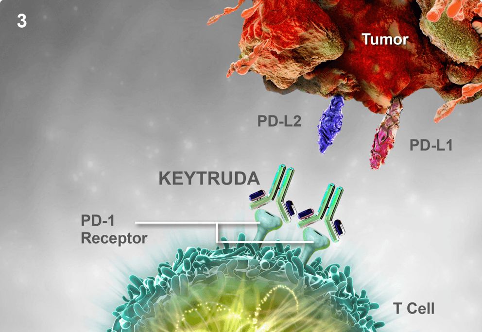 Pembrolizumab generates meaningful efficacy in a subset of patients treated beyond RECIST v1.1 progression