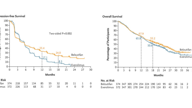 Piotr Wysocki: Belzutifan represents an active treatment option in highly pretreated ccRCC patients