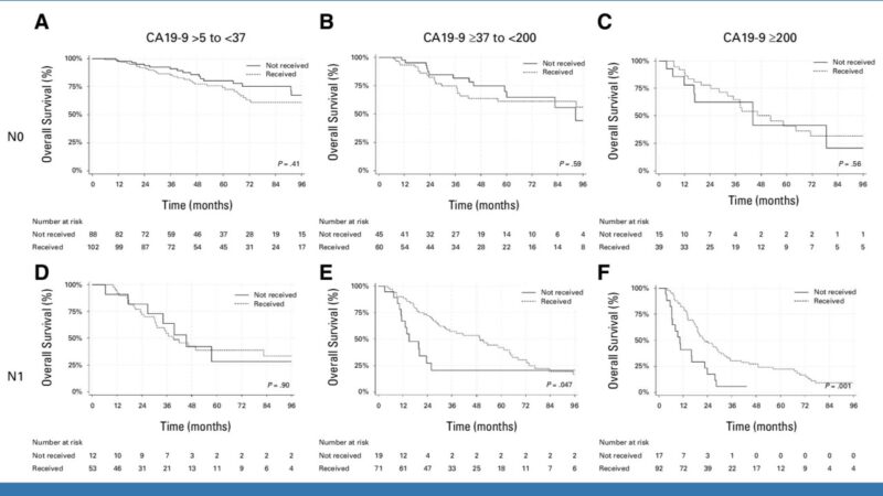 Piotr Wysocki: IPMN-derived pancreatic cancer patients benefit from adjuvant chemotherapy only with nodal involvement and elevated preoperative CA19-9