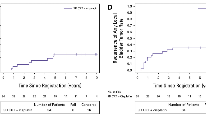 Piotr Wysocki: Trimodality therapy for High-Grade T1 BCG-resistant bladder cancer as an alternative to radical cystectomy