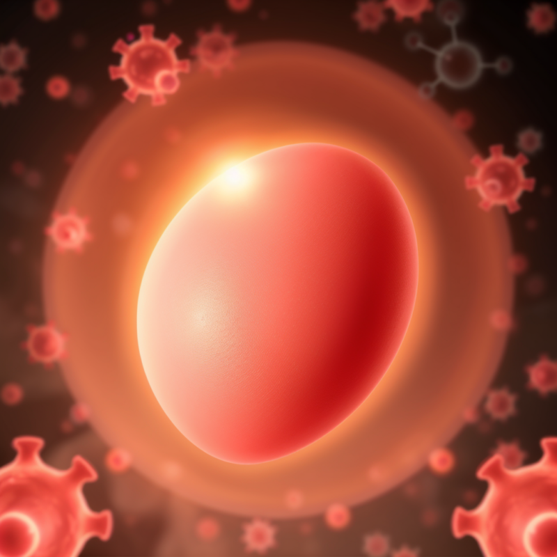 A year of treatment with an ADC has proven highly effective in preventing stage 1 HER2-positive breast cancer from recurring – Dana-Farber Cancer Institute