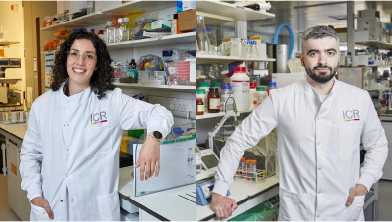 It’s nice to know that what you’re doing is very important to someone specific – The Institute of Cancer Research