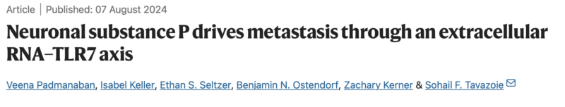 Neuronal substance P drives metastasis through an extracellular RNA–TLR7 axis