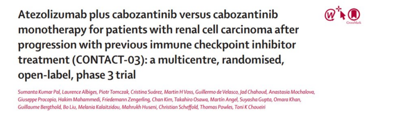 Toni Choueiri: Results from TiNivo2 are out at ESMO24 and The Lancet