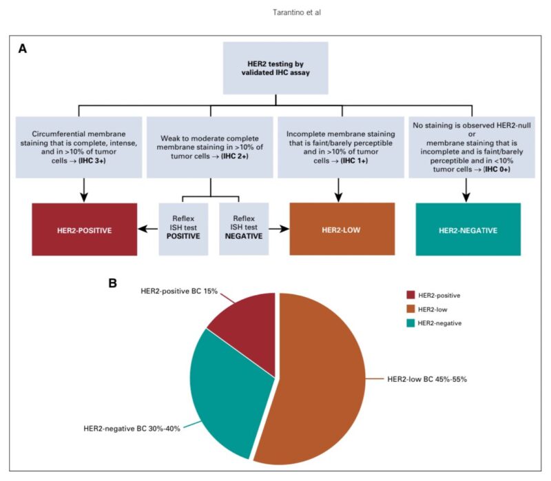 Paolo Tarantino: My 100th scientific publication