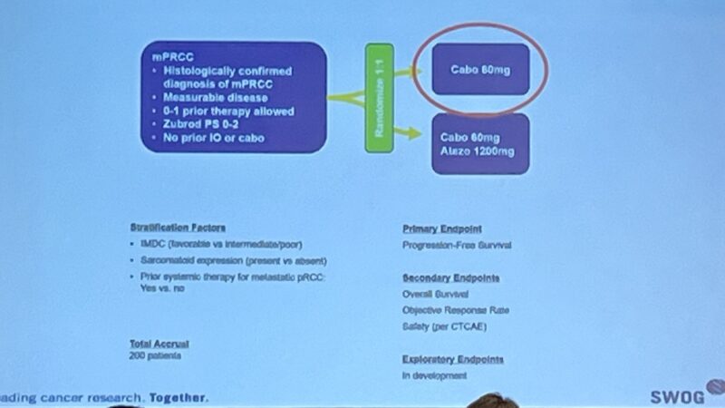 Highlights from the Fall 2024 SWOG Group Meeting