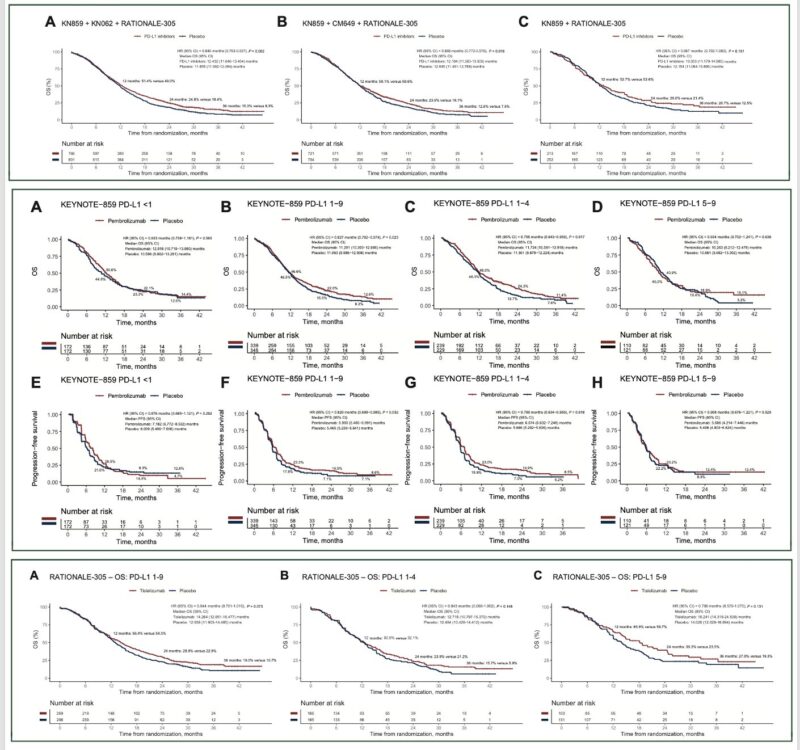 Angelica Petrillo: Recently published key meta-analyses about ICIs in gastric cancer