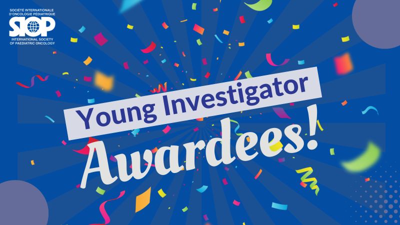 2024 Young SIOP Investigators Award winners