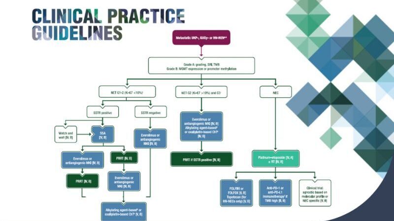 New ESMO Clinical Practice Guideline on Rare Endocrine Tumors