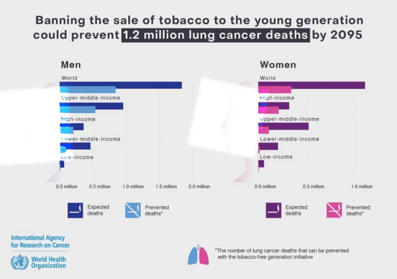 Strategies beyond the WHO Framework Convention on Tobacco Control could reduce deaths due to lung cancer - IARC