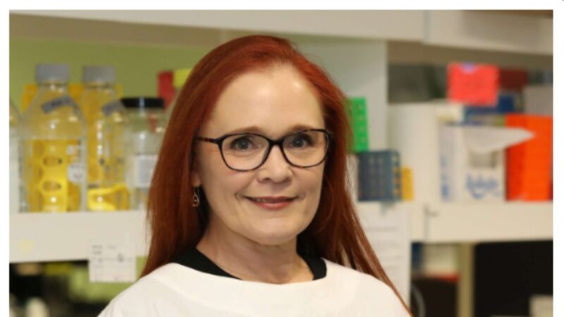 One day left to vote for Vanessa Tyrrell for the 2024 French-Australian Excellence Awards! – Children’s Cancer Institute