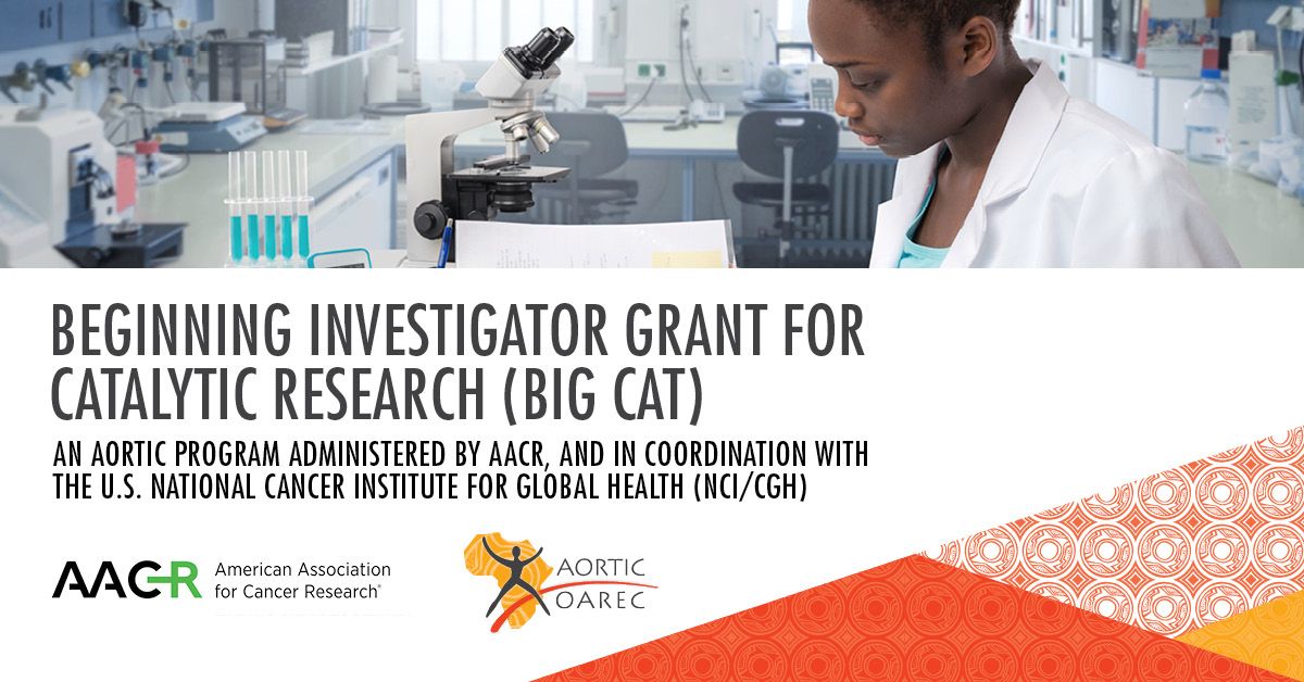 BIG Cat Grant for African Cancer Researchers – American Association for Cancer Research