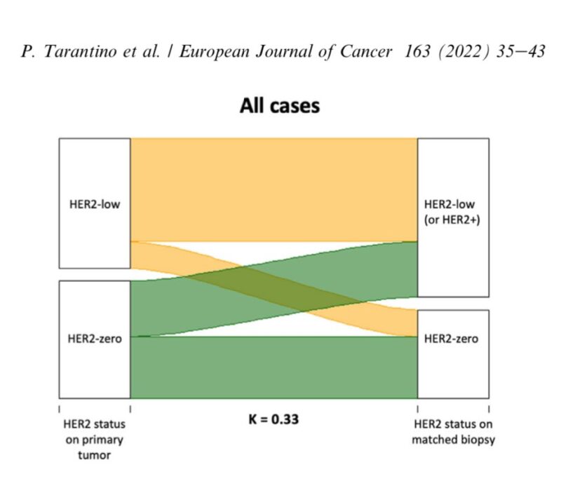 Paolo Tarantino: My 100th scientific publication